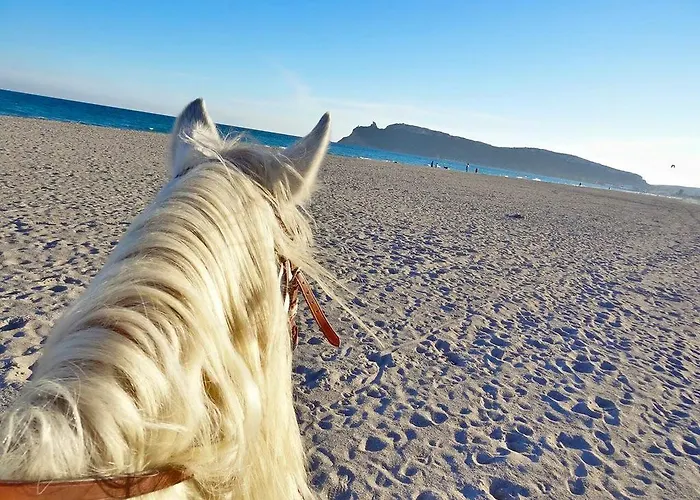 Flumini Üdülőközpont Flumini di Quartu